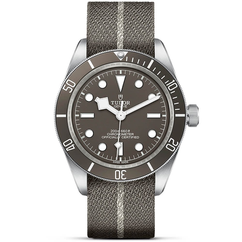 03CCB75F-DDB8-F575-A5D1-8AFC621F099B.jpg TUDOR Black Bay 58 925 39mm Silver Case Taupe Dial Fabric Strap Watch - Image 1