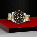 TUDOR Black Bay S&G 41mm Black/Gold Dial Automatic Men's Bracelet Watch M79733N-0008 - Image 2