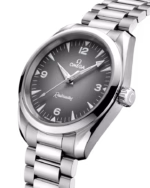 Omega Seamaster Railmaster Automatic 38mm 235.10.38.20.06.001 - Image 3