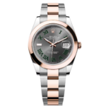 Rolex Datejust 41mm 126301 Sundust Slate Roman Dial Oyster Bracelet