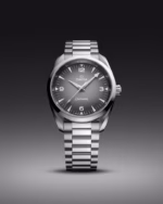 Omega Seamaster Railmaster Automatic 38mm 235.10.38.20.06.001 - Image 4