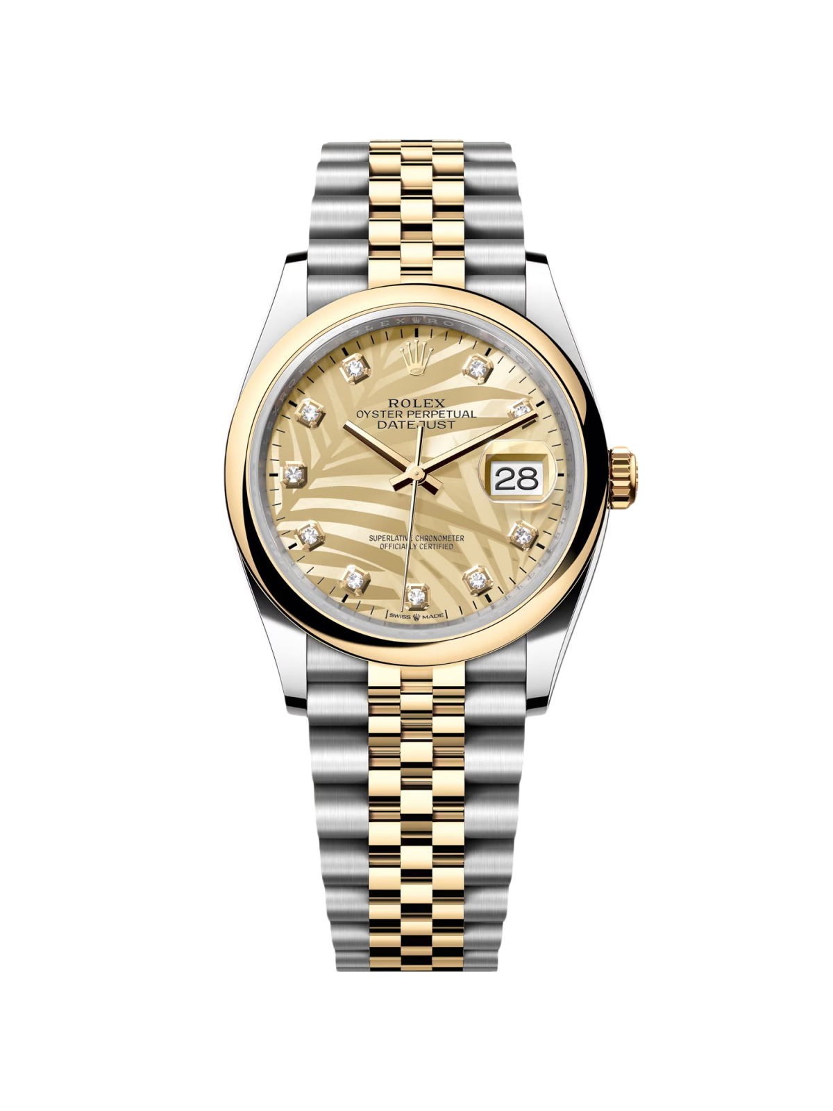 31EAE707-8018-06DC-13EC-C3E2382FED80.png Rolex Datejust 36mm 126203 Golden Palm Dial Domed Bezel Oyster Bracelet - Image 1
