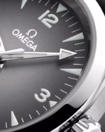 Omega Seamaster Railmaster Watch, 38mm Gray Dial  235.12.38.20.06.001 - Image 3