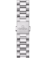 Omega Seamaster Railmaster Automatic 38mm 235.10.38.20.06.001 - Image 5