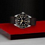 TUDOR Black Bay 58 39mm Black Dial & Bezel Automatic Strap Watch M79030N-0002 - Image 2