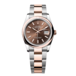 Rolex  Datejust 126201 Chocolate 36mm Dial