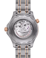 Omega Seamaster Diver 300M 42mm Grey Dial Titanium ‑ tantalum ‑ Sedna™ 18k Rose Gold Bracelet 210.60.42.20.99.001 - Image 2