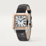 Cartier SANTOS-DUMONT Rose Gold MIx 43.5mm - Image 2