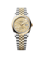 Rolex  Datejust 36mm 126203 Golden Dial Domed Bezel Oyster Bracelet - Image 2