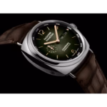 Panerai Radiomir Annual Calendar Platinumtech™ 45mm  PAM01364 - Image 4