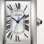 Cartier TANK AMERICAINE Blue Strap 26.6 mm - Image 6