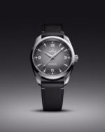 Omega Seamaster Railmaster Watch, 38mm Gray Dial  235.12.38.20.06.001 - Image 4