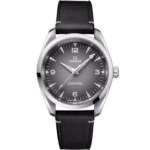 Omega Seamaster Railmaster Watch, 38mm Gray Dial  235.12.38.20.06.001