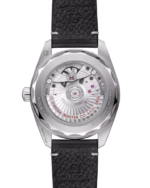 Omega Seamaster Railmaster Watch, 38mm Gray Dial  235.12.38.20.06.001 - Image 2
