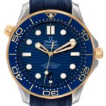Omega Seamaster Diver 300M 42mm Blue Dial Stainless Steel 18k Yellow Gold Strap 210.22.42.20.03.001 - Image 4