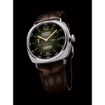 Panerai Radiomir Annual Calendar Platinumtech™ 45mm  PAM01364 - Image 2