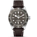 TUDOR Black Bay 58 925 39mm Silver Case Taupe Dial Leather Strap Watch M79010SG-0001