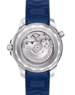 Omega Seamaster Diver 300M 42mm Grey Dial Stainless Steel Strap 210.32.42.20.06.001 - Image 2